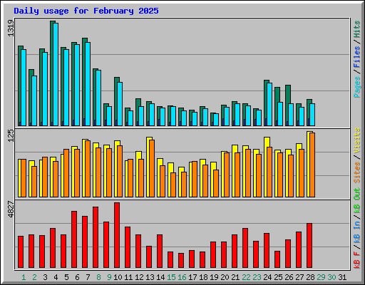 Daily usage for February 2025