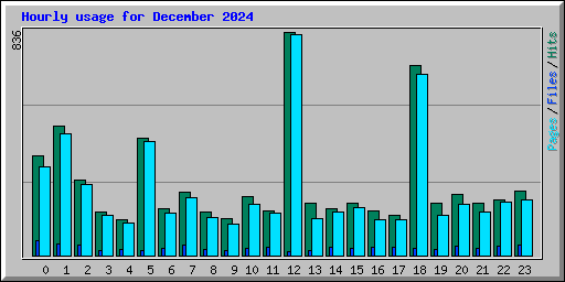 Hourly usage for December 2024