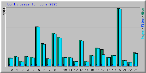 Hourly usage for June 2025
