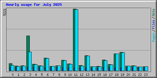 Hourly usage for July 2025
