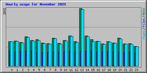 Hourly usage for November 2025